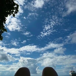 Meet your Posher, Teddy